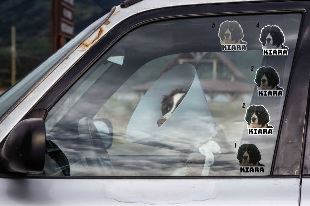 Dog Cartoon Custom Decal